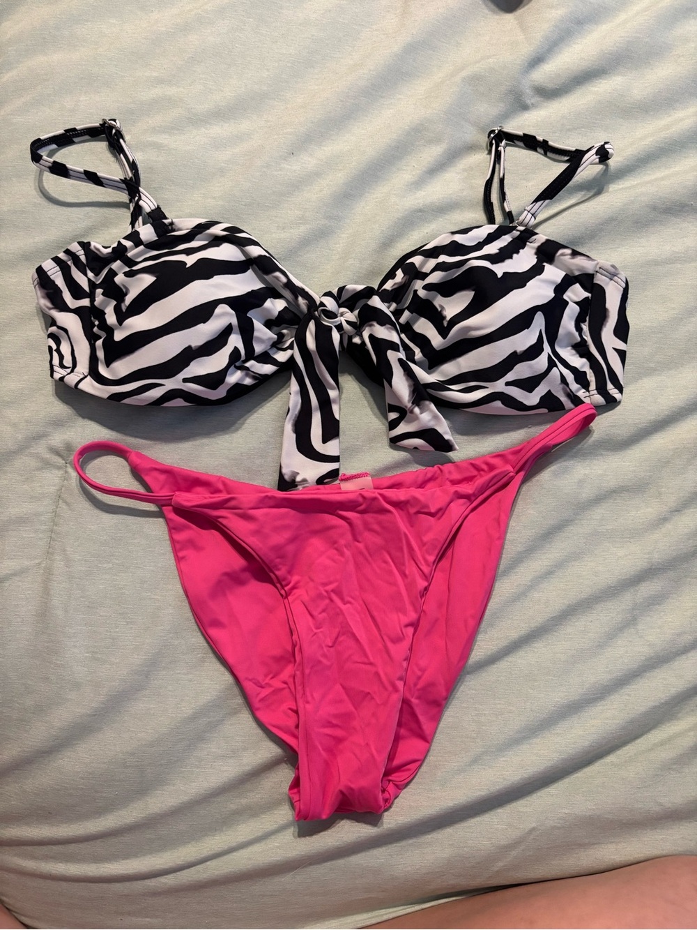 Zebra Print Bikini Top with Hot Pink Bottoms